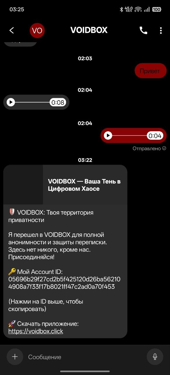 Voidbox Secure Chat